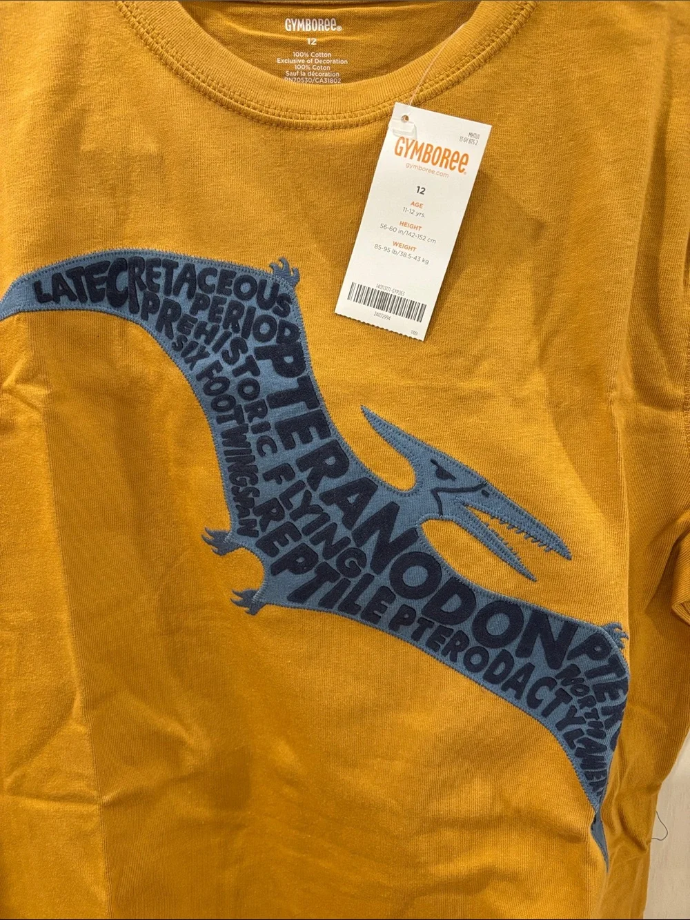 Gymboree Long-Sleeve Tee with White Layered Sleeves and Navy Pteranodon